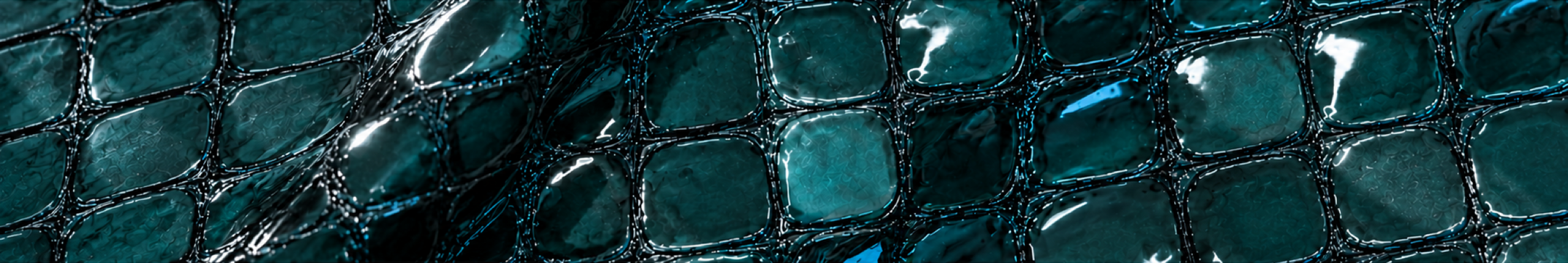 Utilize para transformative teal