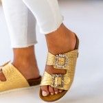 Chinelo  Rasos Cintia 03